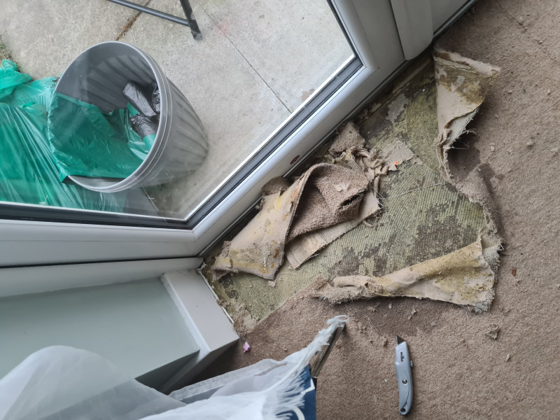 Someone has superglued our entire carpet to the concrete floor.