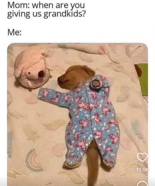 To think there is nothing more adorable than a baby in a baby grow 