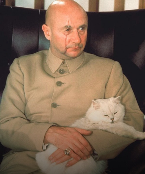 Allison Bailey v Stonewall - Employment Tribunal hearing Thread 3