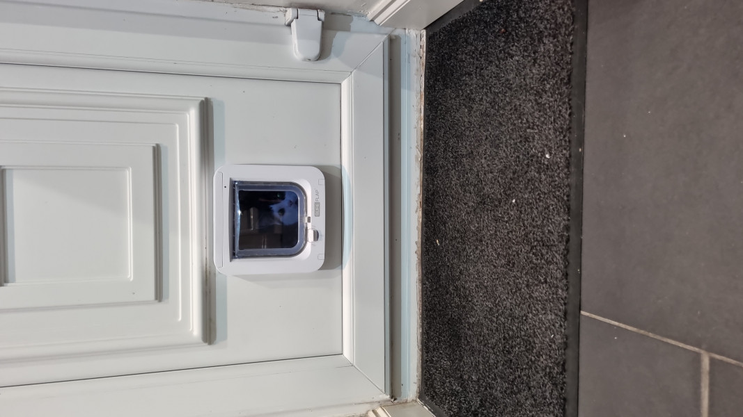 Cat flap help