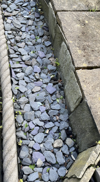 To ask how to make an ugly garden pretty 