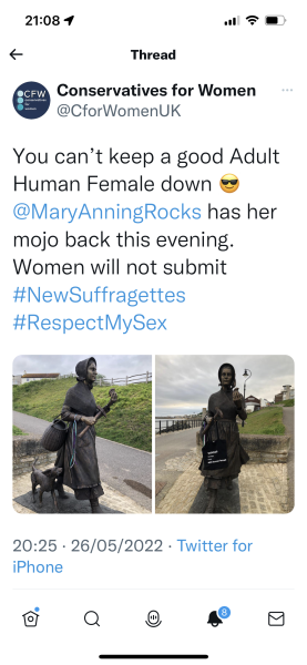 Mary Anning Staue and Suffragette colours - they've removed them!!