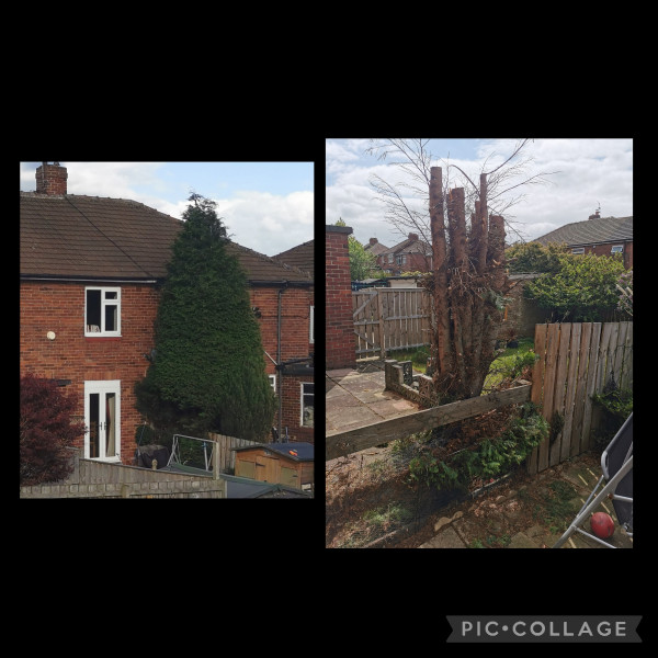 Thinking this could grow again? 