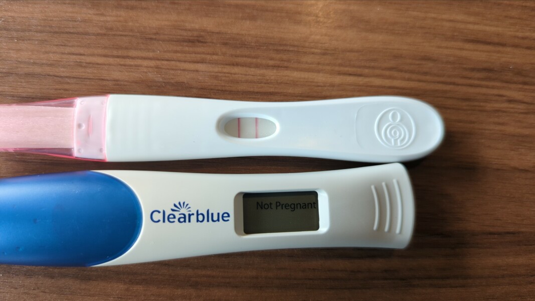 Due February 2023 ❤️💙💛💖