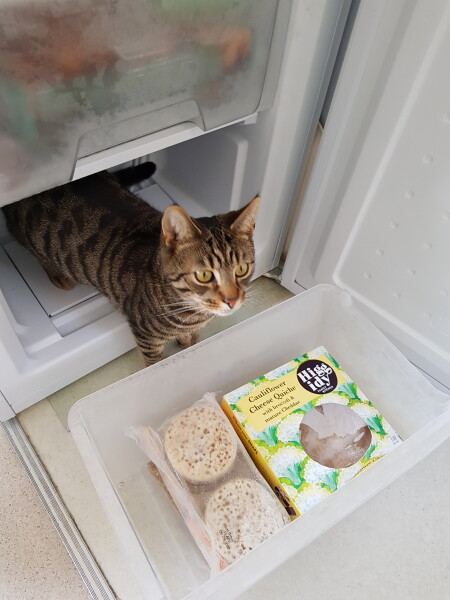 What quirky behaviour does your pet have?