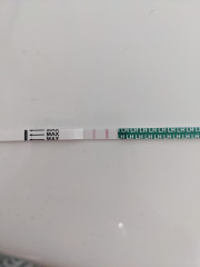 OVUSENSE (ovucore)