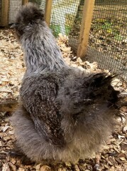 Come and tell me your dull and unexciting news 22: Calmly through the day