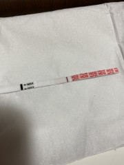 8DPO Line Eyes?!?!?!?