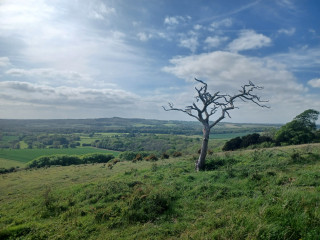 Come chat hiking with me!