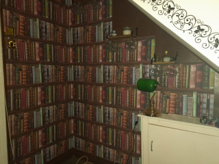 I’ve got my own reading room
