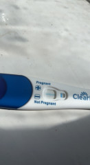 Chemical Pregnancy thoughts please 