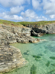 Cornwall too busy and too expensive!