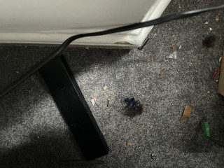 How bad is your teenagers room?