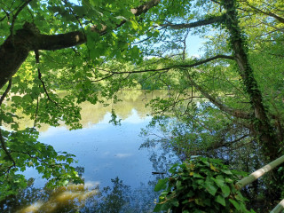 Come chat hiking with me!