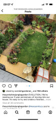 New garden, just grass - WWYD