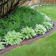 Need ideas for this messy garden! 