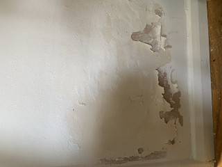 Peeling paint- damp? What to do?