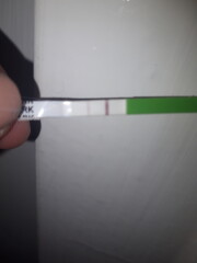 What's going on with my body 