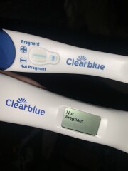 Suspected cryptic pregnancy?