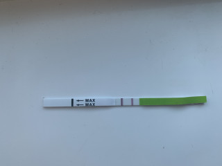   Need help understanding this OPK results!