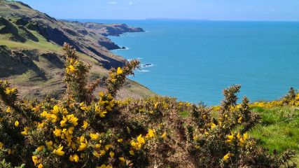 Come chat hiking with me!