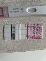 In need of some first pregnancy reassurance