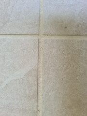 Problem with grout?