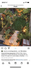 New garden, just grass - WWYD