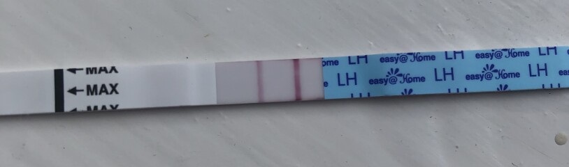 OPK advice