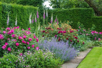 If you were planning a new rose garden