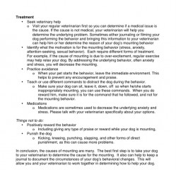 Rescue dogs, bite, humping