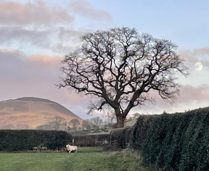 Come chat hiking with me!