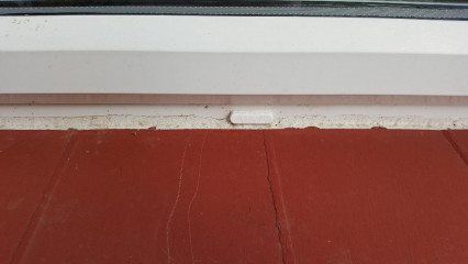 What is eating my exterior (window) silicone sealant? & how can I stop it?