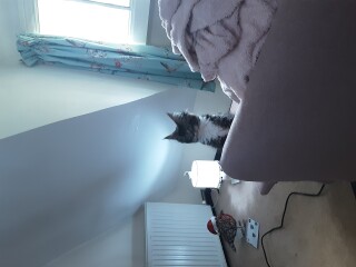 Cancer support thread #82