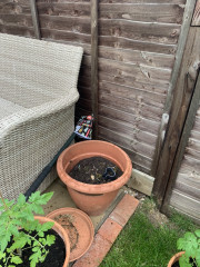 Plant Suggestions please!