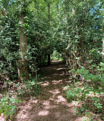 Come chat hiking with me!