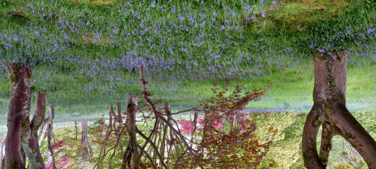 Come and tell me your dull and unexciting news 22: Calmly through the day