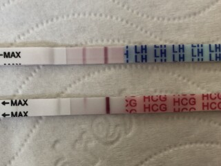 Obsessive testers welcome!