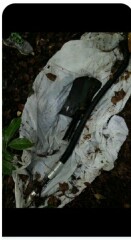 AIBU to want to know the truth about this?