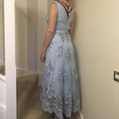 Opinions on this dress?