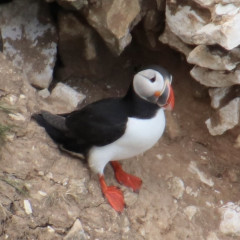 Come chat hiking with me!