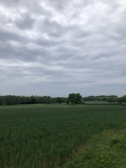 Come chat hiking with me!