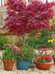 Pictures to cheer people up 😃