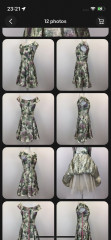 Opinions on this dress?