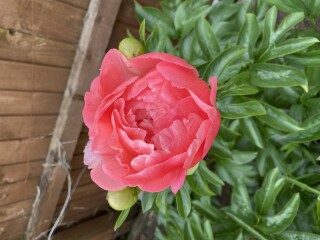 Show Us Your Pictures 6