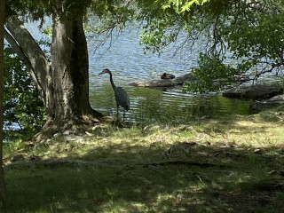 Come and tell me your dull and unexciting news 22: Calmly through the day