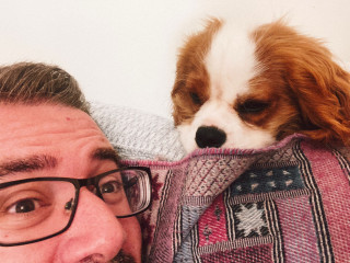 What dog would you recommend for us?