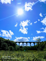 Come chat hiking with me!