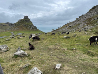 Come chat hiking with me!