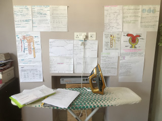 Thread 31 Covid Cohort - Hopping through Easter and Revision